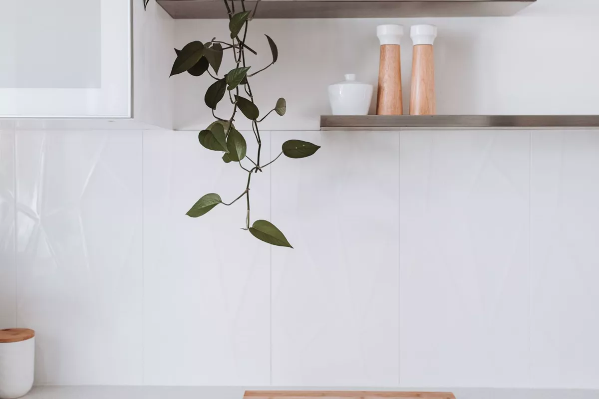Bestehende Küchenschränke als Beispiel für eine mögliche Renovierung
